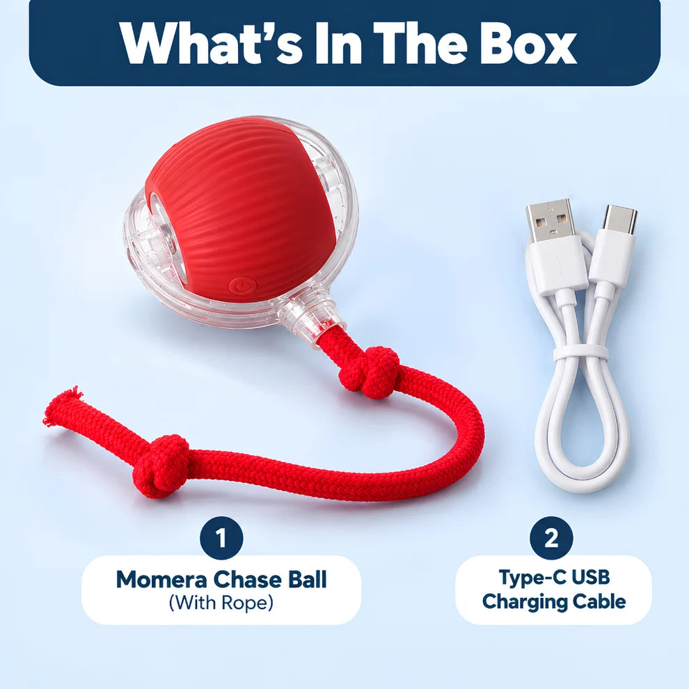 Automatic Rolling Ball Toy for Kids – Self-Moving Chase Ball with Tail | Rechargeable