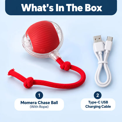 Automatic Rolling Ball Toy for Kids – Self-Moving Chase Ball with Tail | Rechargeable