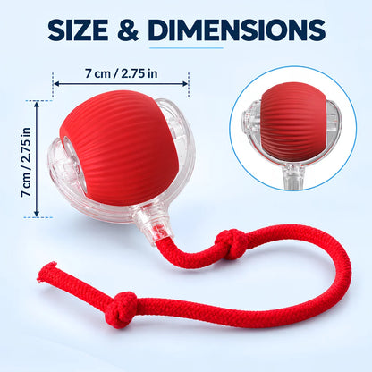 Automatic Rolling Ball Toy for Kids – Self-Moving Chase Ball with Tail | Rechargeable