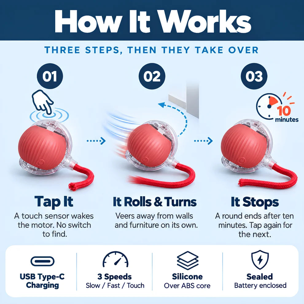 Automatic Rolling Ball Toy for Kids – Self-Moving Chase Ball with Tail | Rechargeable