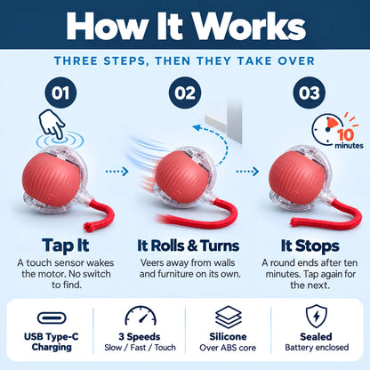 Automatic Rolling Ball Toy for Kids – Self-Moving Chase Ball with Tail | Rechargeable